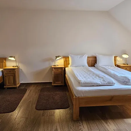 Pension Aquaris 3* Sighisoara
