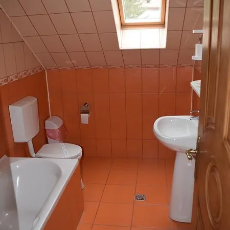 Pension Aquaris Sighisoara