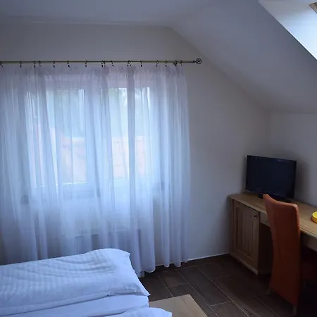 Guest house Pension Aquaris Sighisoara